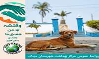 آمار نگران‌کننده حیوان‌گزیدگی در میناب / ثبت بیش از ۵۰۰ مورد از ابتدای سال